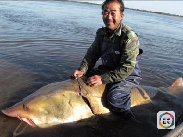 鳇鱼贵不贵?聊一聊国外那些天价食物|渔业|鱼子