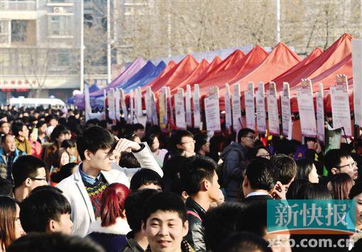 ■求职者在“2015年河北省毕业生就业市场”上寻找就业岗位(资料图)。