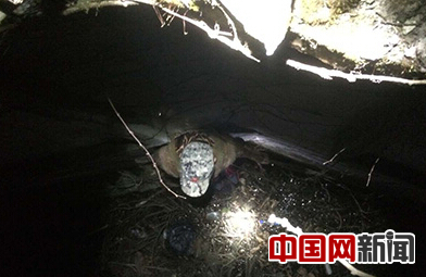 小伙翻墙跌进泥潭