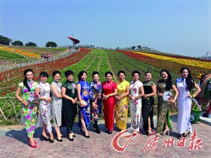 脱下套装着旗袍女企业家也婀娜