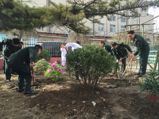 军事医学科学院团委领导帮助北京丰台鹤童老人院开展营区绿化工作。沈基飞 摄