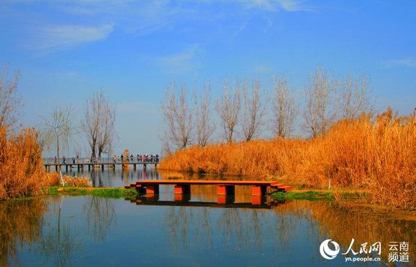 滇池捞鱼河湿地公园美景。（人民网 虎遵会  摄）