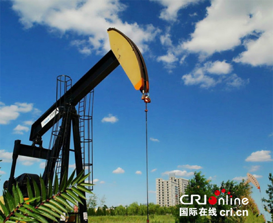 全国人大代表申长友:以五大发展理念建设美丽