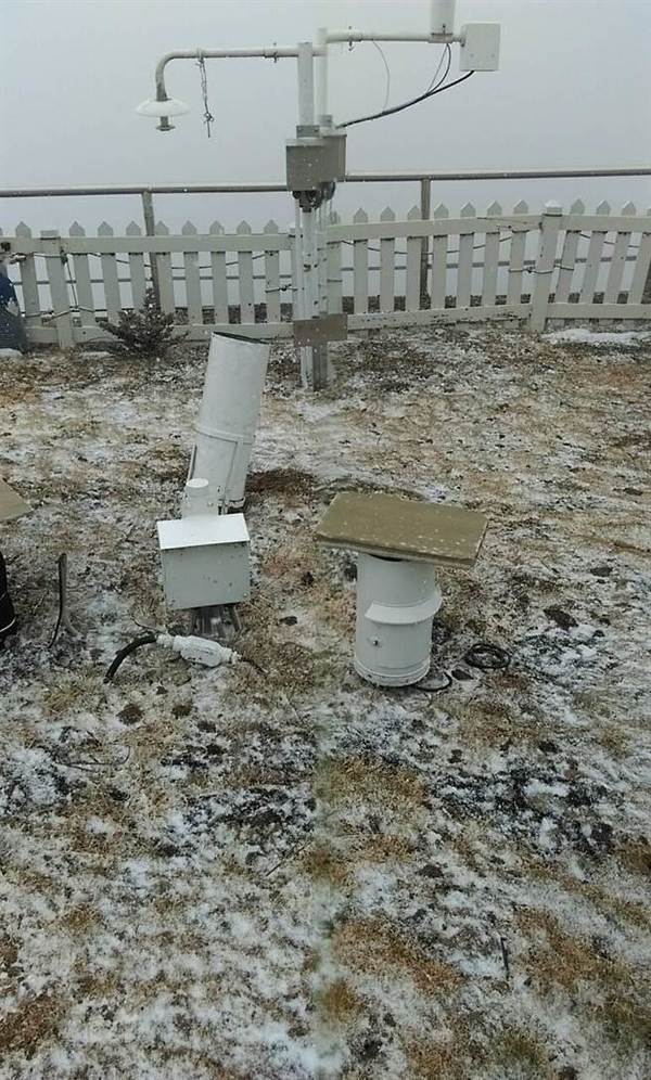 玉山飘细雪，冰霜上添雪花！（图片来源：台湾《中时电子报》）