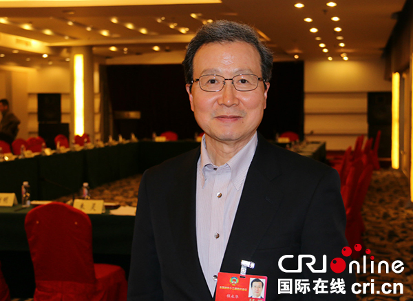 程永华大使在今年的政协小组讨论会上 摄影:黎萌