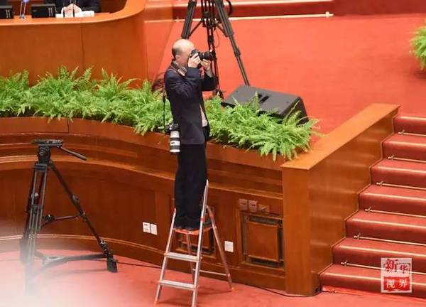 　　年年岁岁花相似