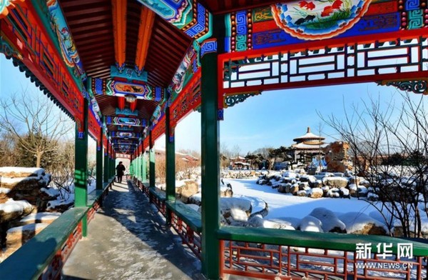 这是唐山世园会中国园片区内的皇家园雪后景色。