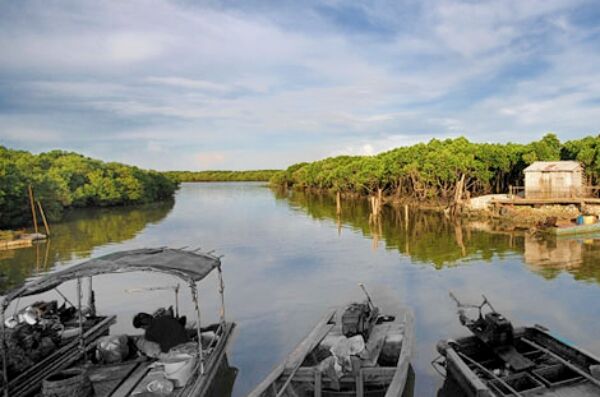 昔日渔船踪影不在 一抹蓝天绿树长留