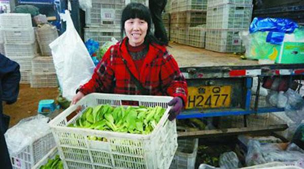 罕见 倒春寒 致蔬菜价上涨明显 上海启动应急措