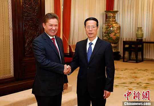 张高丽:保持中俄能源合作持续稳定发展势头|紫