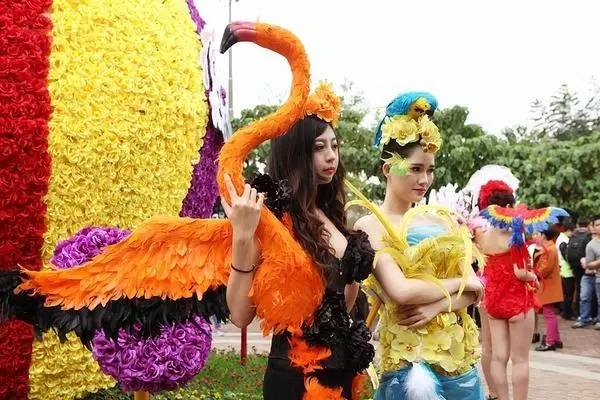 实拍东莞美女，谁是花魁你说了算！