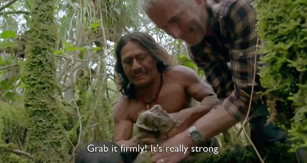 　　水蟒是亚马逊存林中最危险的动物。（网页截图）