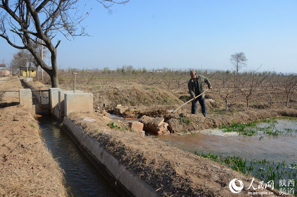 作为秦郑国渠的第六代工程，如今的泾惠渠依然在关中平原上发挥着重要的作用，浇灌着145万多亩良田。