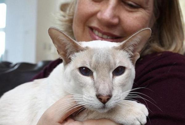 Cupcake于3月26日顺利与主人团聚。(图片来源:《每日邮报》)