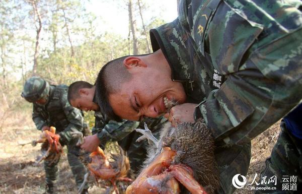 3月25日，武警特战队员在“魔鬼”训练中徒手杀鸡锻造野外生存能力。 （摄影：任洪彬）