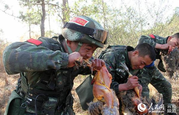 3月25日，武警特战队员在“魔鬼”训练中徒手杀鸡锻造野外生存能力。（摄影：李波）