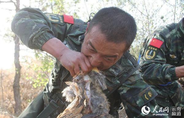 3月25日，武警特战队员在“魔鬼”训练中徒手杀鸡锻造野外生存能力。 （摄影：石国锋）