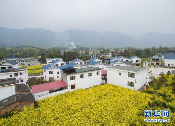 俯瞰芦山县清仁乡大板村河湾聚居点(3月28日摄).