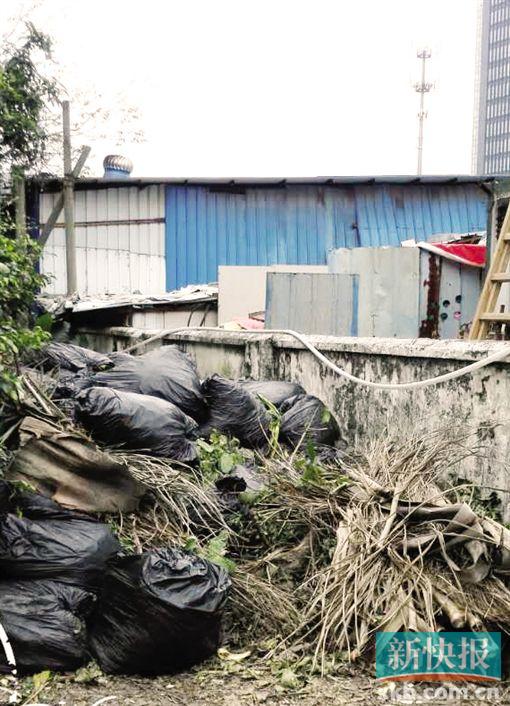 ■多名业主表示,小区内垃圾杂物经常无人清理。(小区业主供图)