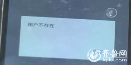 4万多网购十只名犬 几乎全部老弱病残|小王|微信