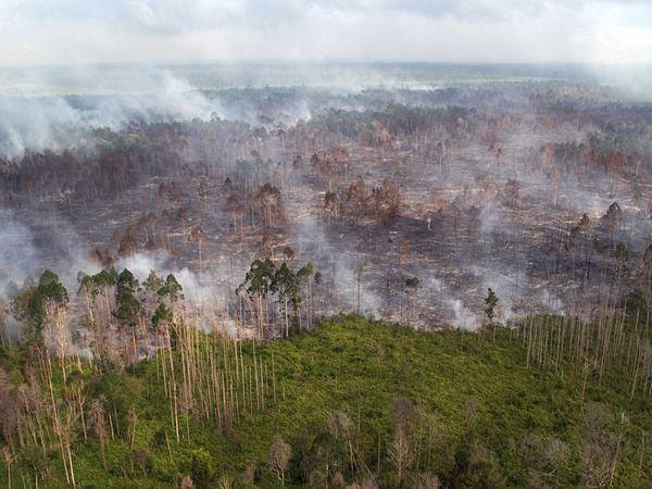 烧芭再启,印尼上空再升烟雾!|机构|火情