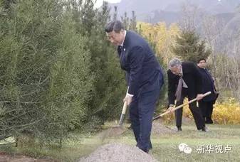 新华社记者鞠鹏摄