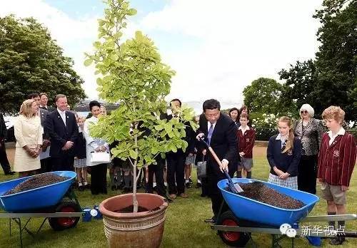 新华社记者饶爱民摄