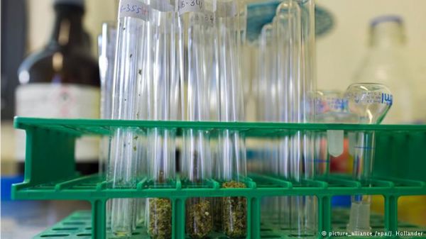 欧洲人每年花近2000亿元买毒品 1\/4成年人吸过