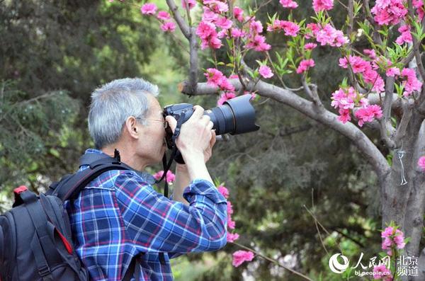 摄影爱好者在拍桃花。人民网尹星云 摄