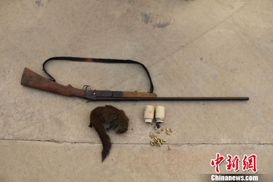图为民警查获的二人由射钉器改装的射钉枪及野生松鼠死体 解雄波 摄