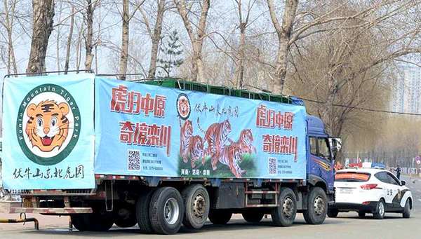 运虎车队奔赴栾川