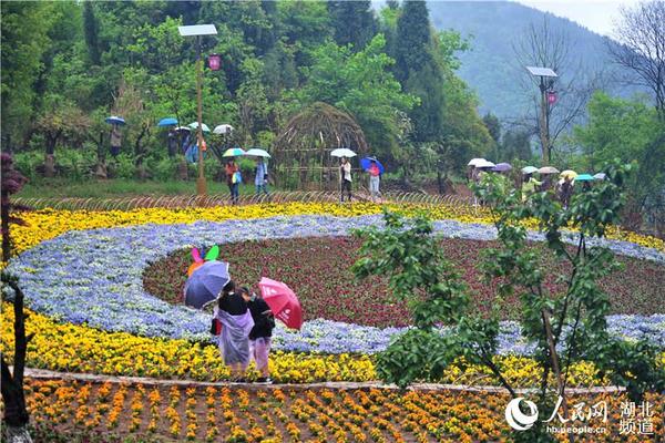 宜昌市黄花镇人口_宜昌市洋坪镇洋坪中学