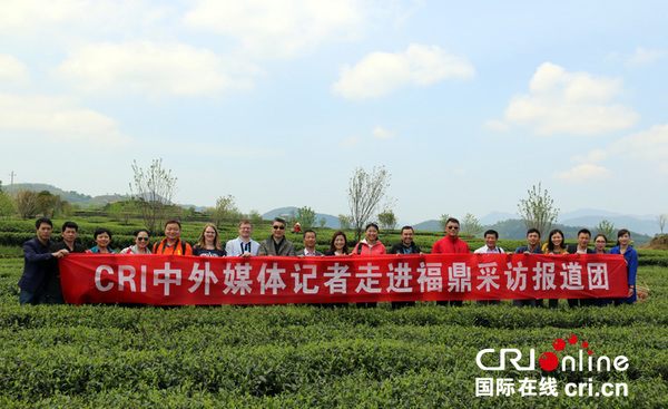 CRI国际台福鼎行记者团 摄影金近