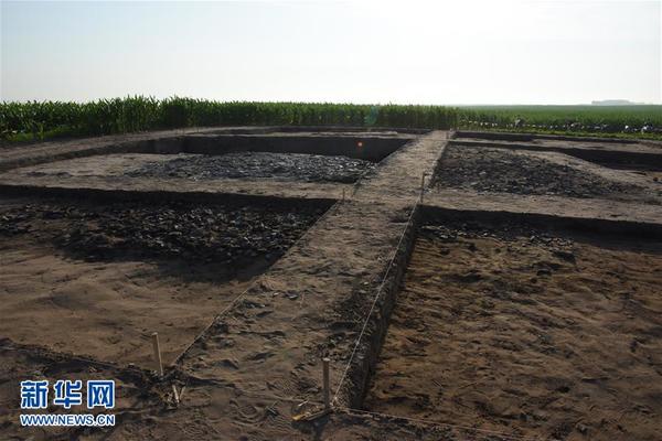 　　 图为考古发掘现场（资料图片）。新华社发