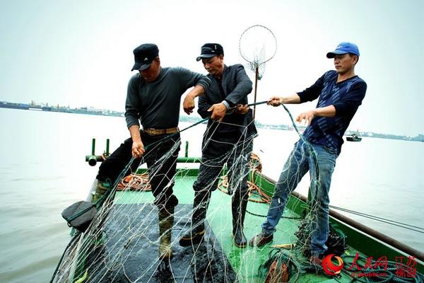 李玉高与同村渔民一同捕鱼。