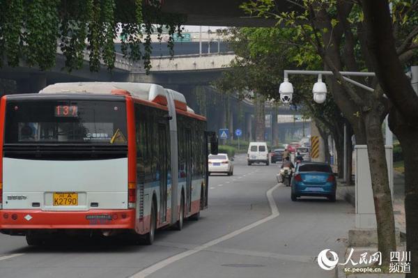 “最矮”监控探头直伸到马路边缘,市民担心车辆通行安全。王波 摄