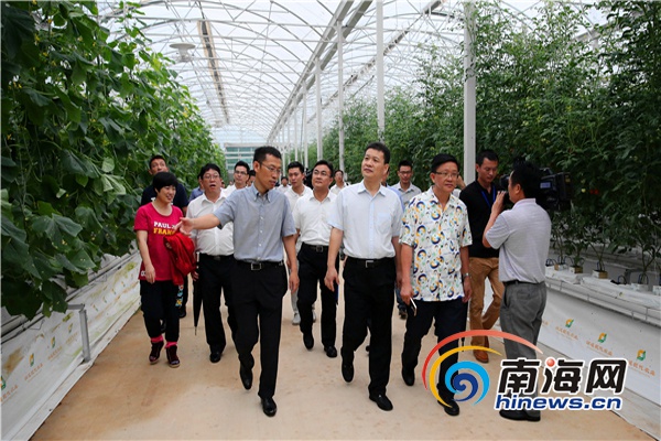 海口市党政团考察陵水全域旅游建设南海网。通讯员 陈思国 摄