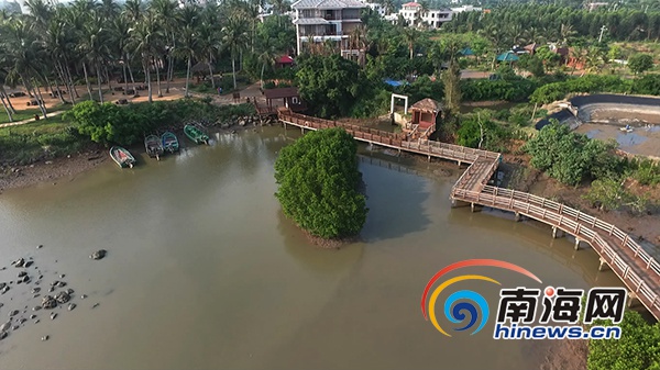 南海网推出航拍视频栏目《瞰海南》 首期聚焦东寨港_凤凰资讯