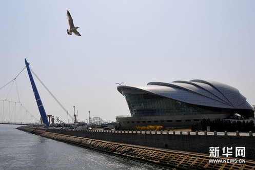 4月18日，一只海鸥在星海广场东南侧的大连贝壳博物馆上空盘旋。新华网图片 吕文正 摄