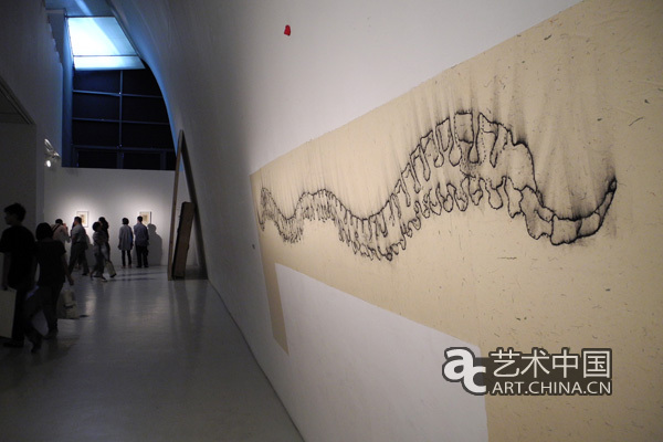 奥玛尔•嘉里亚尼专门为美术馆空间创作的作品