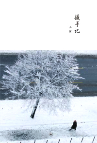 黄灿然新作《奇迹集》书封，收录其2006年至2008年作品。王寅第一本摄影图文集《摄手记》书封。