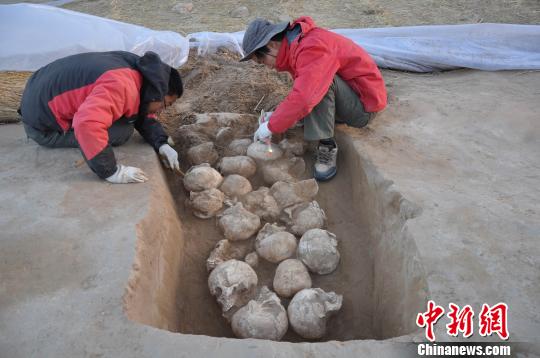 图为清理人头骨。　陕西省考古研究院　摄