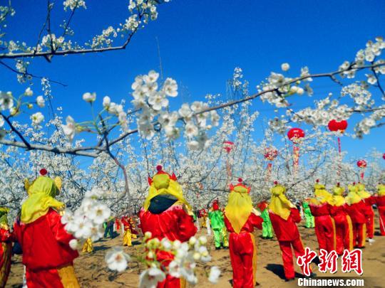 敲锣打鼓庆祝梨花节。　任丽娜　摄