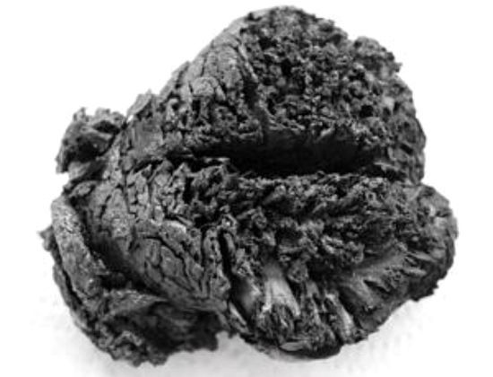 这颗形似木炭的人脑已有4000年历史