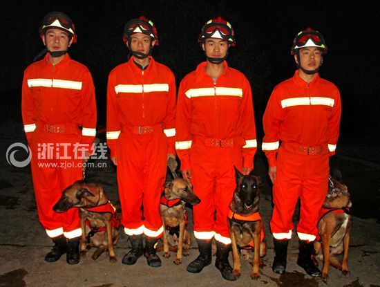 杭州搜救犬四大名捕:冷血、无情、铁手、追命