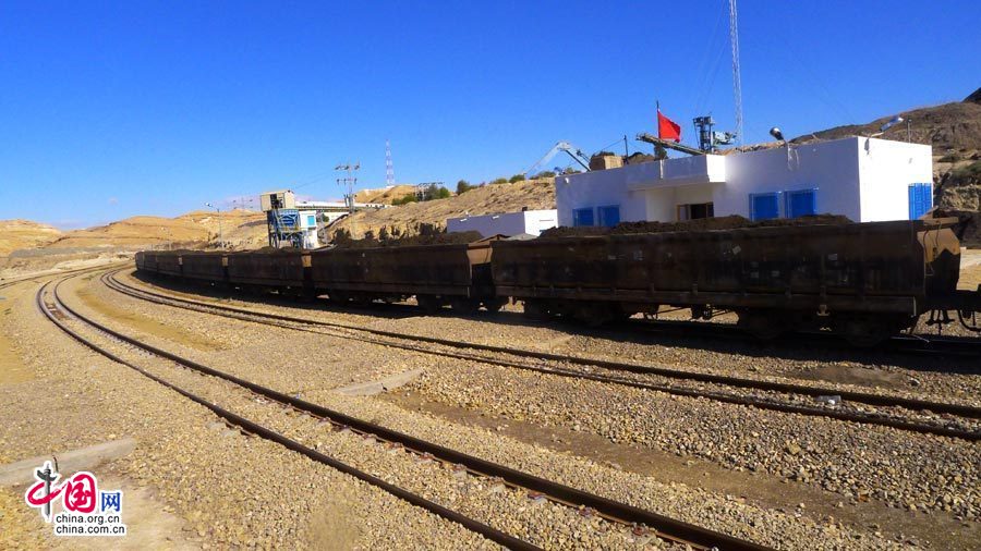 大漠红影突尼斯红蜥蜴列车 向撒哈拉进军