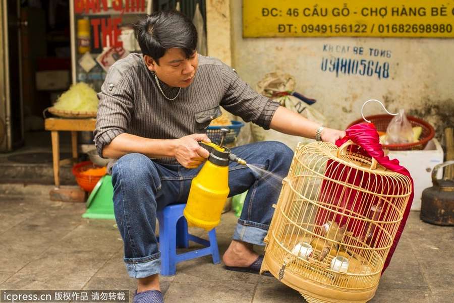 越南红河三角洲人口_越南首都河内位于红河三角洲,人口400万,是越南北部最大(3)