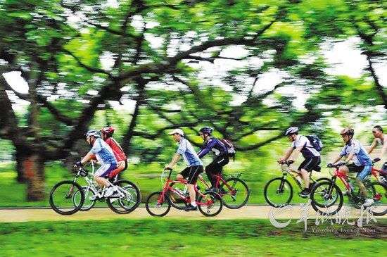 绿道骑游深玩广东 健身养生运动有去处_旅游频道_凤凰网