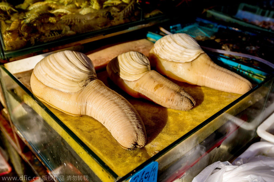 长相<em>色情</em>的海鲜 <em>顶级</em>海鲜绽放舌尖上的味蕾 