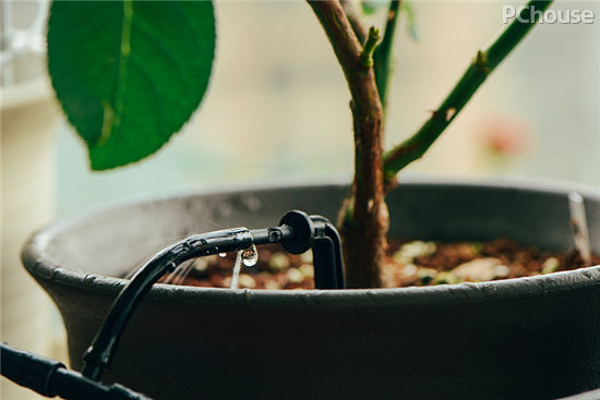 自动浇花器 园丁外出休假的必备神器